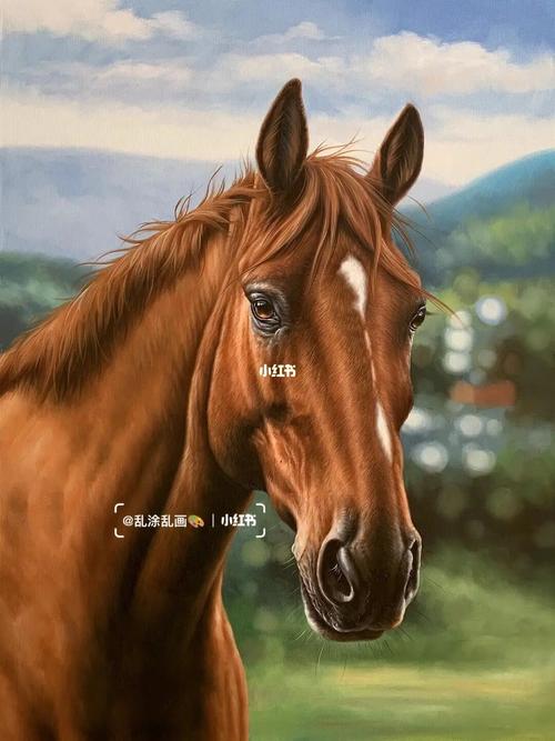 油画|马头9896_油画_兴趣爱好_绘画