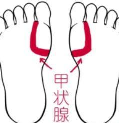 一旦您出现了这种情况,就要注意去调节自己的情绪,保护甲状腺的健康.