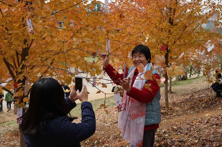文华学院举办红枫文化节 将枫叶玩出新花样