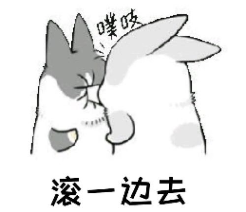 斗图,表情包,社会人,伪萌,兔子