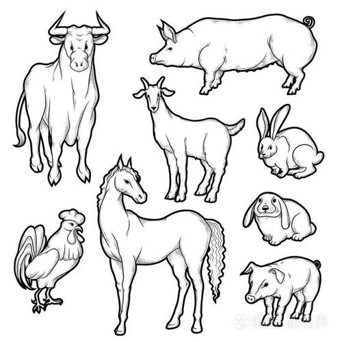 插画 矢量黑白素描集偏僻的农场动物.剪影农业宠物的集合.