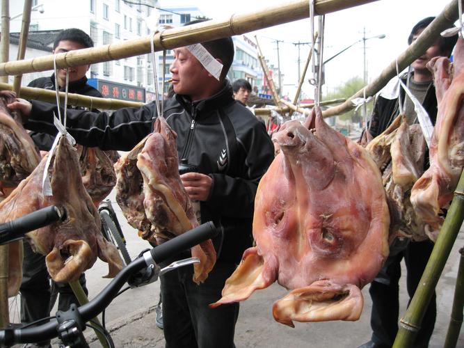 同时,老姚这猪头也就便宜啦,哈哈哈.