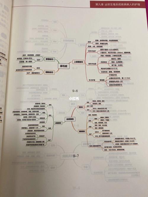 第九章泌尿系统77思维导图