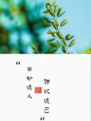 不知渡己,何以渡人_文案_朋友圈_朋友圈文案_素材