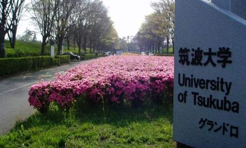 筑波大学