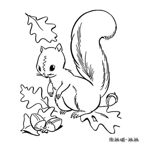 小松                        动物简笔画栏目里的 小松鼠简笔画
