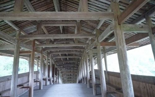 (上图为周万巩老师在向游客义务讲解泰顺廊桥的结构