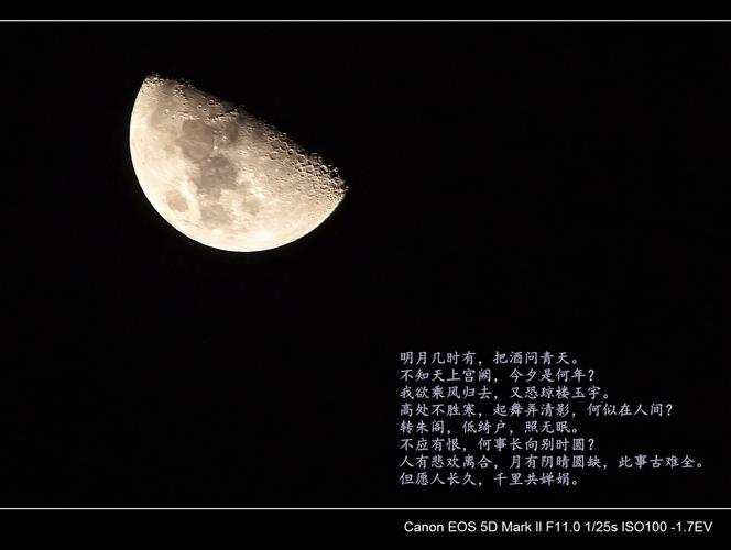 月光曲请点拨