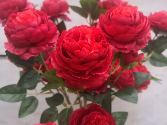 三头洋牡丹巴西玫西洋玫瑰婚庆仿真花绢花厂家直销白色红色香槟