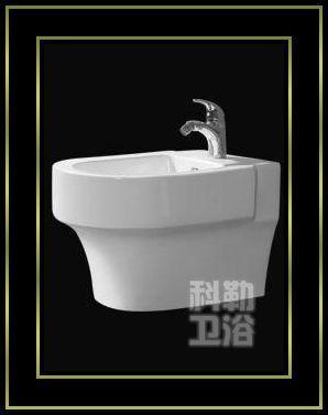 特价kohler 科勒卫浴 陶瓷洁身器 女用妇洗器 净身器洁具k-kp06