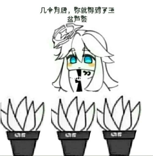 教大家怎样种植芦荟_芦荟_凹凸世界