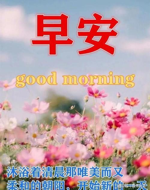 清早最新版早上好漂亮表情祝福图片平安祝福早上好问候祝福语