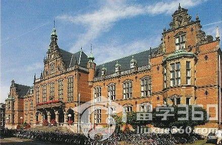 格罗宁根汉斯大学(http://m.liuxue360.