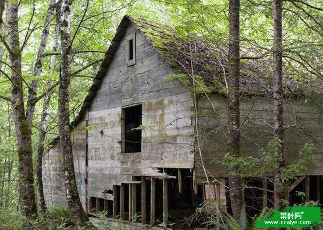 世界十大灵异事件图片 听说有的人看了难受地自杀了