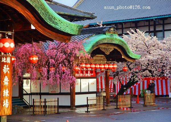 标题:京都祗园甲部歌舞练场樱花斗艳(29张)