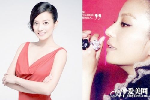 赵薇:  两点一线之间离嘴唇还有一段距离的赵薇,侧脸轮廓也是相当