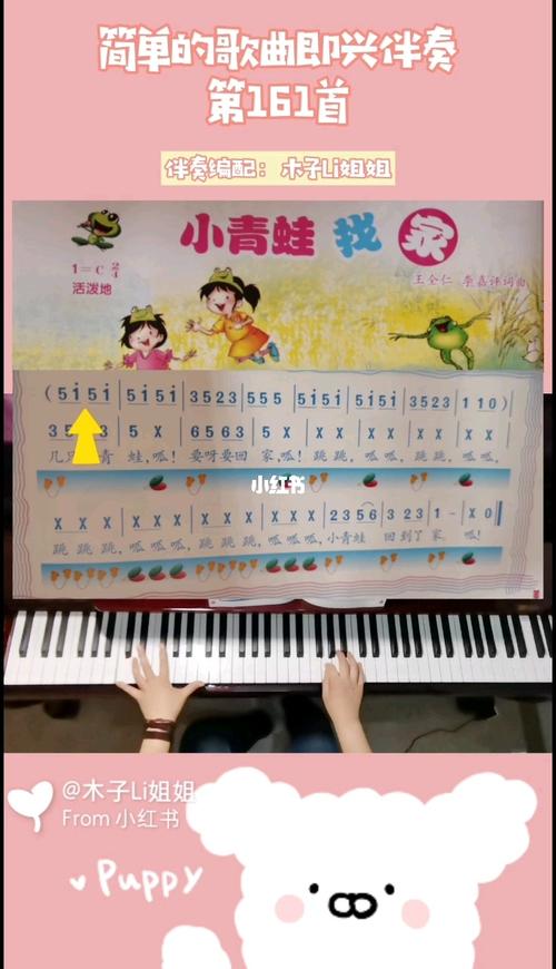 儿歌即兴伴奏《小青蛙找家》/小音_伴奏_小青蛙_泉州自由行热门攻略