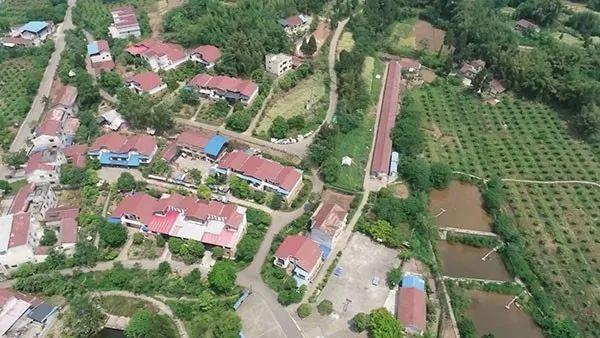 四川主播边界行 | 遂宁市安居区磨溪镇板仓村:骄傲的村支书(下)