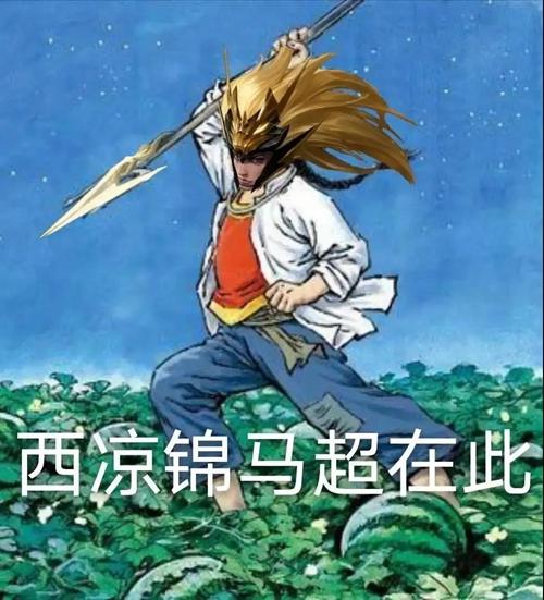 酷酷的我在酷酷的走图片-西凉锦马超在此表情包下载