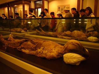 旅顺博物馆藏之新疆木乃伊(害怕的就别看哦!