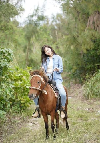 海边骑小矮马的美女,穿紧身牛仔裤,看起来清新靓丽很迷人