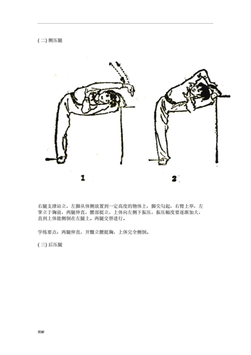 武术基本功图解.docx 16页