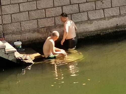 游野泳,捞螺蛳,炎炎夏日又有大爷下河了
