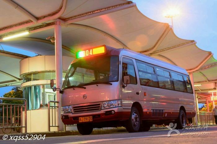 公交车(904路)图片 - 第8张