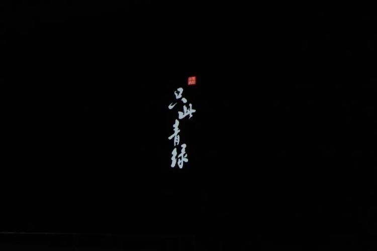 只此青绿是文博人的浪漫与情怀