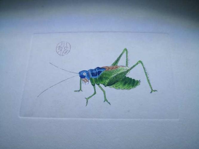 花了一晚上,作了一个蝈蝈宗宗-彩铅画