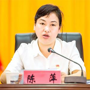 ——访大方县委副书记,县长陈萍