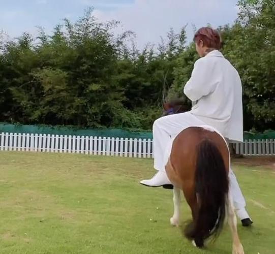 殷世航骑1米矮马接套路璐穿5厘米高跟鞋够不到地霸总1米4