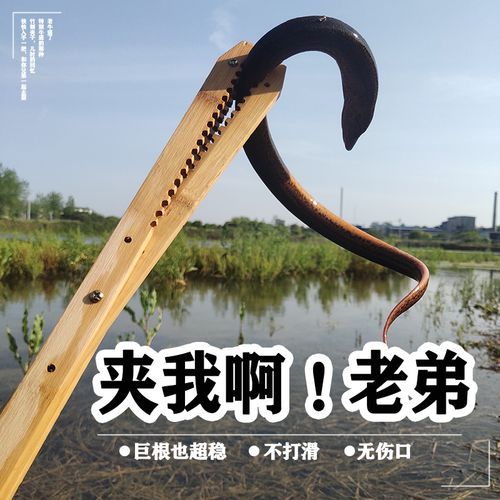 黄鳝夹子神器夹黄鳝的夹子黄鳝夹竹制夹专用夹钳鳝鱼控鱼器泥鳅夹