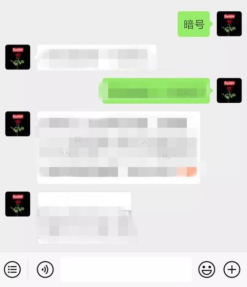 2, 向每一个公众号后台发送关键词"暗号",参考如下样式