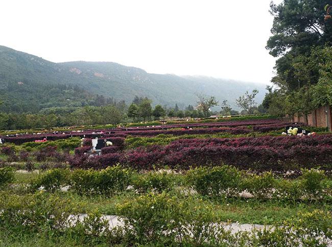 金宝山艺术陵园