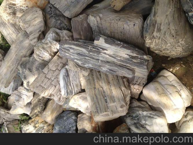 进口印尼木化石(原石)