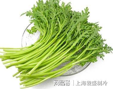 茼蒿保鲜冷库储存方法介绍茼蒿怎么怎么保存新鲜