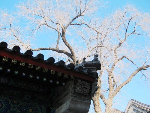 《驻京办主任》--恭王府