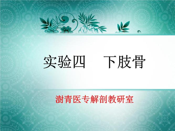 四下肢骨实验物品骨架1具散骨标本2套挂图1套目的要求掌握:髋骨,股骨