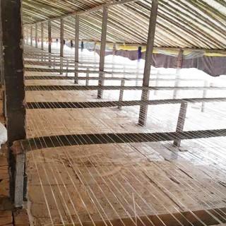 养鸭大棚该怎么建设?