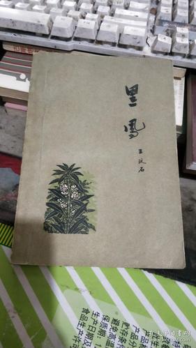 《黑凤》【1964年1版1印 描写58年大跃进时期关中渭北高原的一部