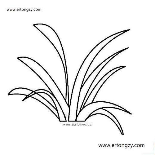 麦苗简笔画大全图片,麦苗的画法怎么画,麦苗画法