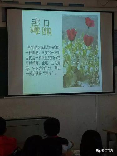 【禁毒】远离毒品!禁毒,从小做起!鳌江小学开展禁毒宣传