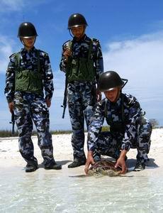 回归浩淼南海 西沙守岛官兵南海放生海龟(图)