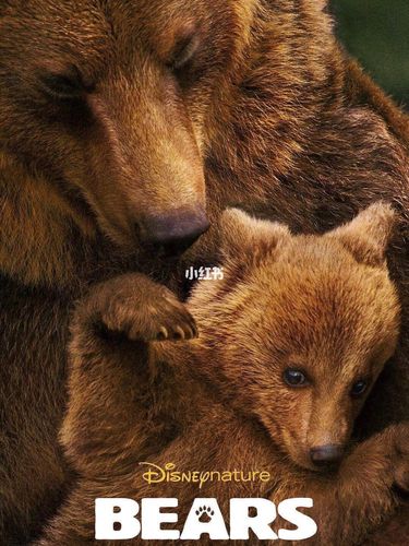 适合孩子看的动物纪录片_纪录片_萌宠_影视_影视