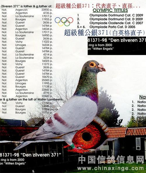 凡温克赢得蒙吕松7700羽4位(图)