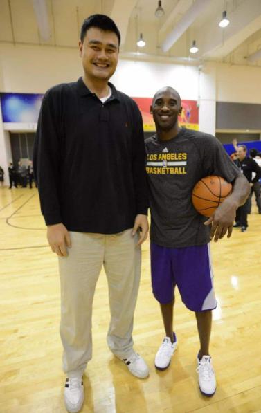 跟姚明合影千万不要跟他同排站,看了科比和奥尼尔