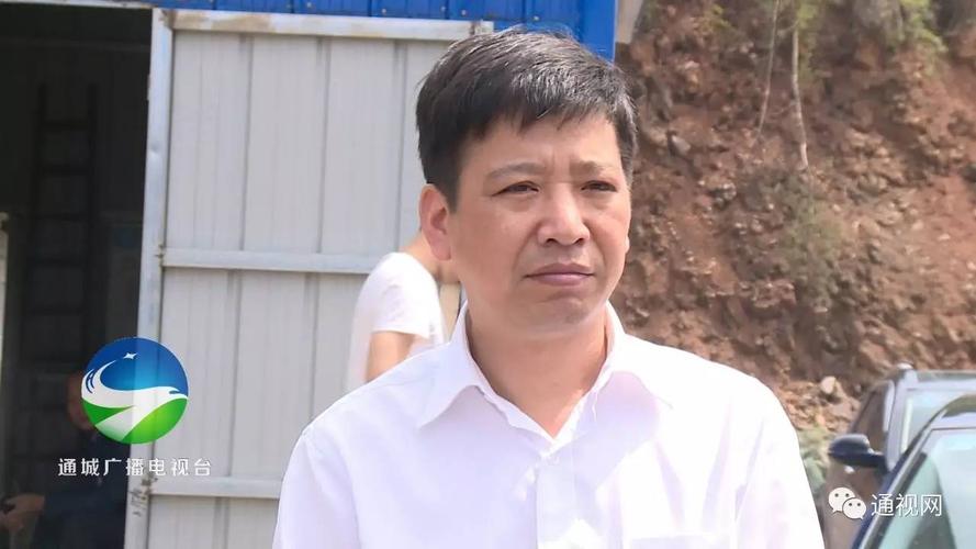 (通城县委常委,政府副县长)