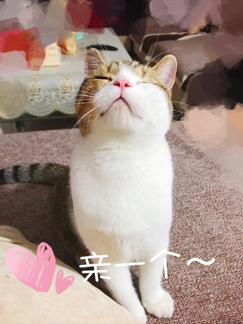 吧唧一口～(.