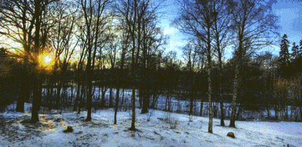 就会让小伙伴体会了一把走遍春夏秋冬的快感